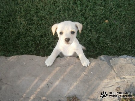 ������� :)