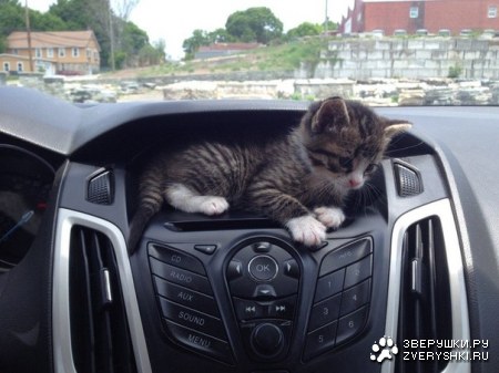 �����, ������� �� ����� ������ � ������ (10 ����)