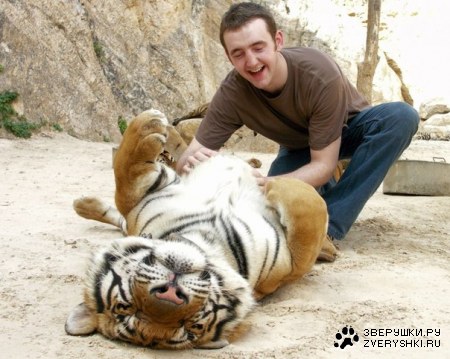 ����� ������� ;)