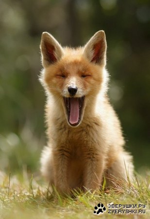 �������������� ���� ������ (8 ����)