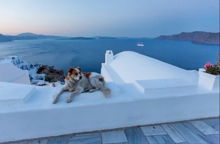 ������ �� ���������� ������� ��������� (8 ����)