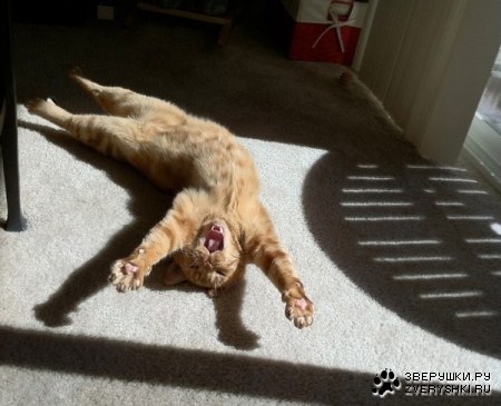 ����� �� ��� :)