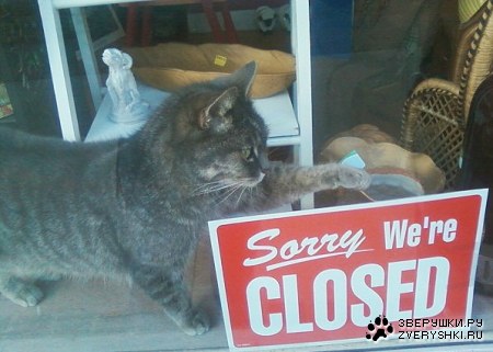 ������ ������?