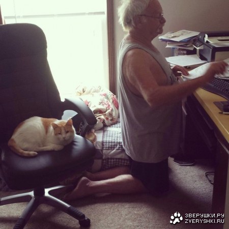 ������� ������ ����� ��� �����! :)