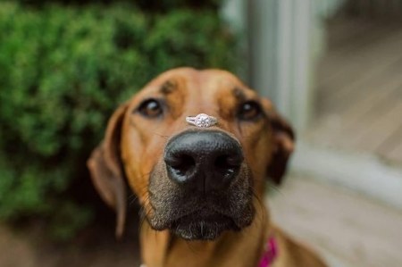 � ����� ����� ���� � ������!