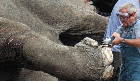 ������� ��� �����