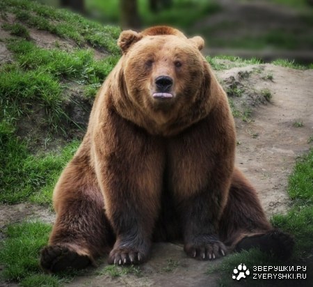 ������ ��������� ;)