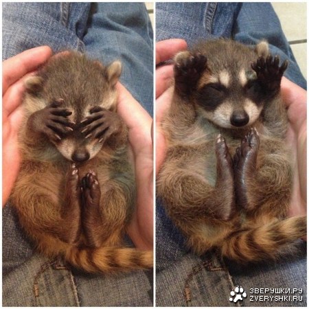 � ��� ������-����? :)