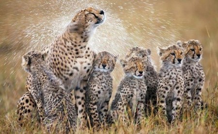 ��������� ��� :)