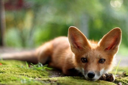 ���������� ����� ������� (6 ����)