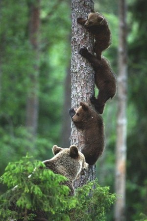 ��������� ��������� ��� � �������� ������ �� ���� :)