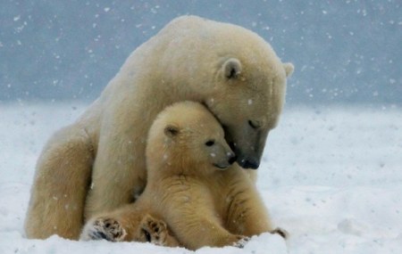 ������ ������� ������� ���� � ����� ����� ����� :)