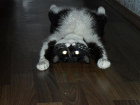 ������ :)