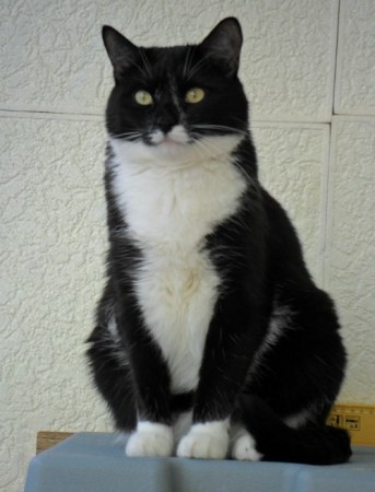 ������ :)