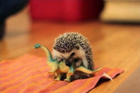 ��������� ������� ��������� ���������� :)