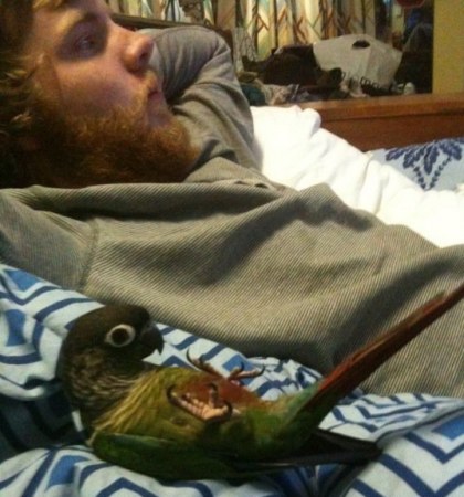 ���� � ������� ;)