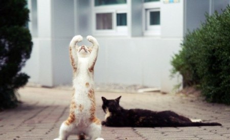 ������� ����� :)