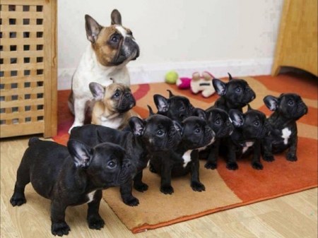 ������ ���� :)