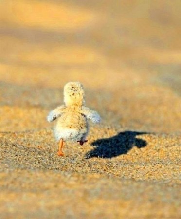 ������ ���� :)