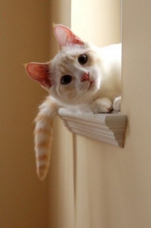 ���� �������? ;)