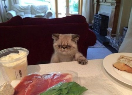 ���� ��� �����! :)