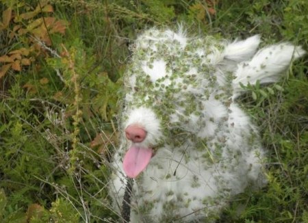 ��, � ������� :)