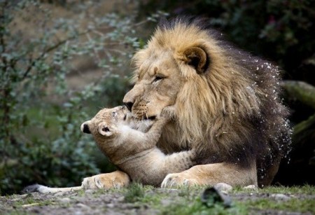 ����, �������� �� ����!