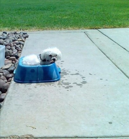 ����� � ��������� ;)