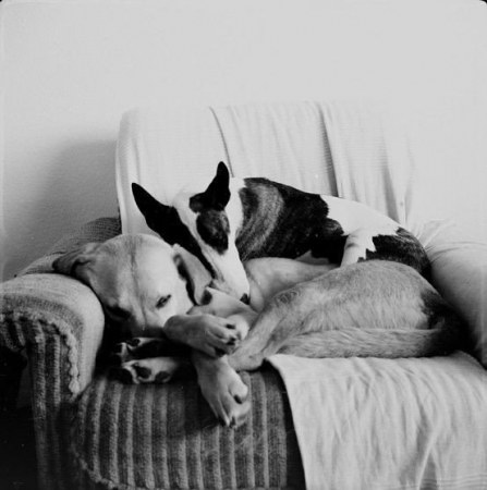 ��������� ������� :)