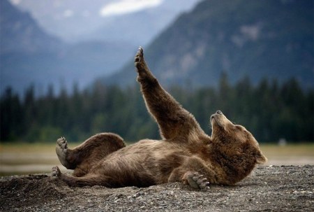 ����� ������� � ���� :)