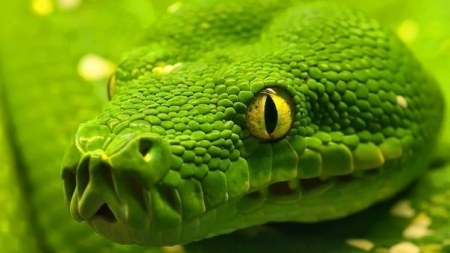 ������������� ����