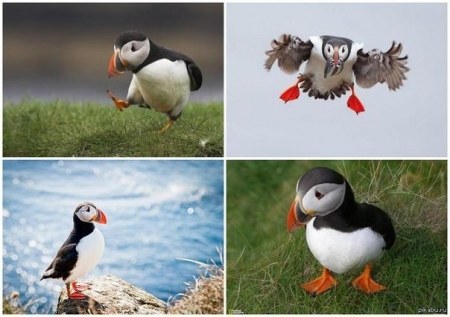 �����, ����� ����� ������ � ���� :)