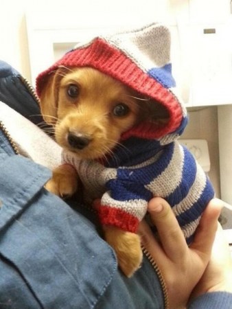 ��������� ���� :)