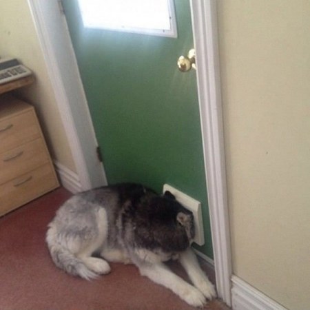 ��� ���������� ������, ����� ������ ��� ���� (10 ����)