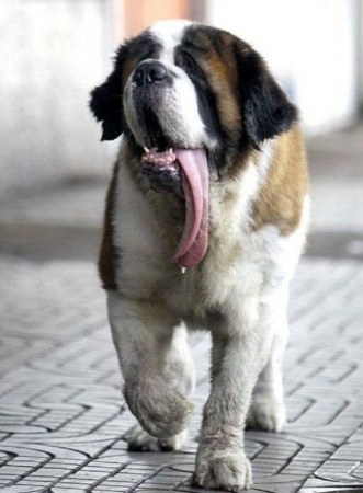 ���� ���� ����� �� ����� ������... ;)