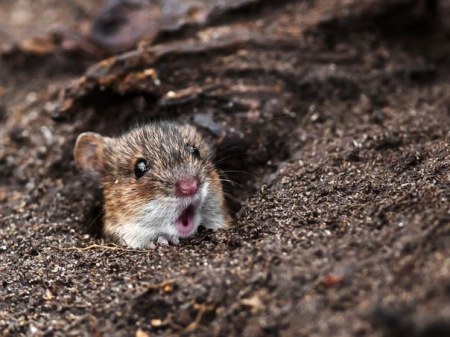 "�����!" :)