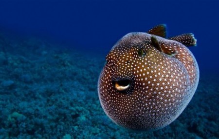 ����-���