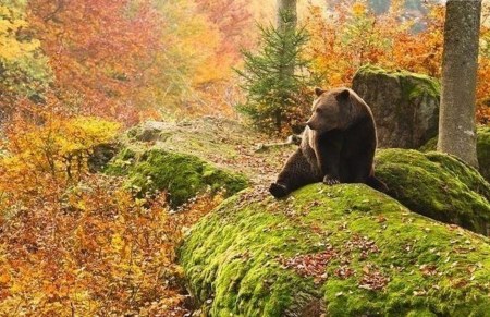 ��������� ��������� :)