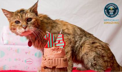 ����� - ����� ������ ����� � ����!