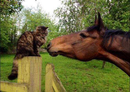 ���-������ :)