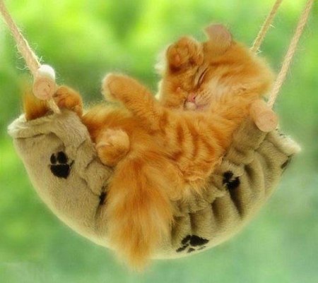 ����� ���� :)