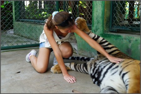 ������� ����� (6 ����)