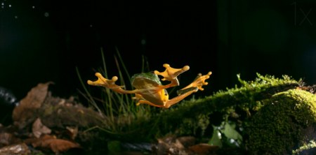 ���������� ��������� ���� � �������� (13 �������)