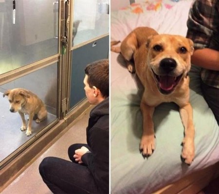 ������ �� ����, ��� ������ ��� � ����� (25 ����)