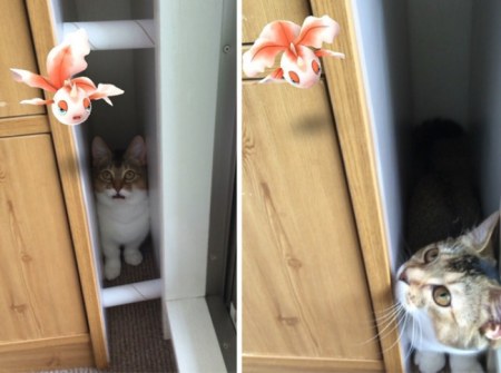 �������� ���� ����� ���������? ��� ��� ��! (15 ����)