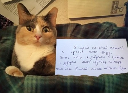 ��� ��������� ���������� ����� �����, ��� ��� ���������! (15 ����)