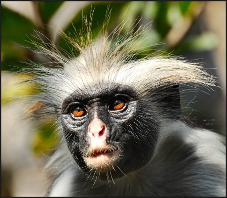 ��������� ��������