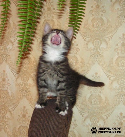 ����������