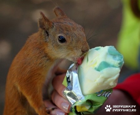 ������� ��������! :)