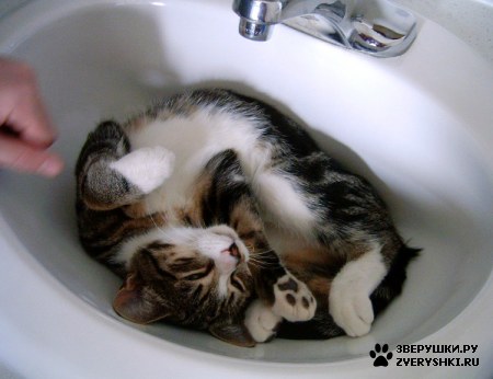 ���� ����� ������ :)